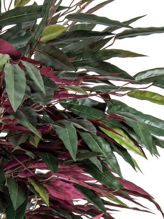 A-106 MANGO GREEN RED 170 CM