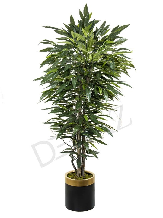 A-108 MANGO GREEN 170 CM