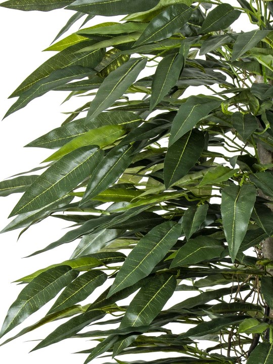 A-108 MANGO GREEN 170 CM