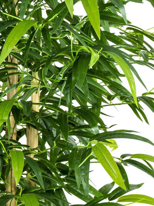 A-113 BAMBU GREEN 190 CM