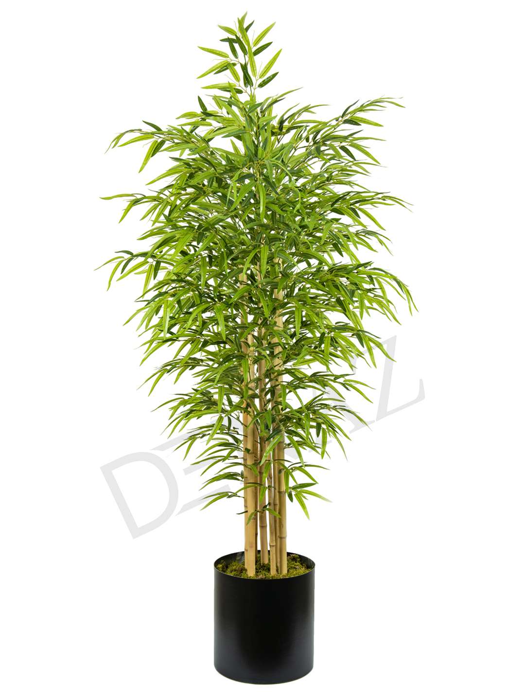 A-115 BAMBU GREEN 190 CM