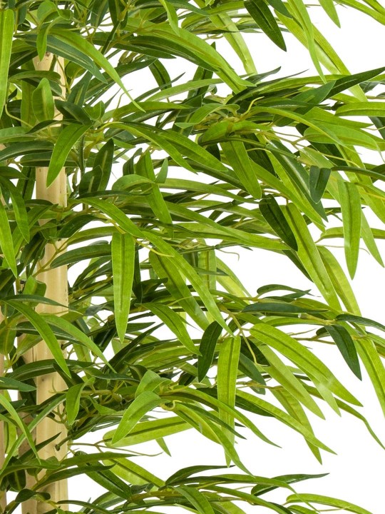 A-115 BAMBU GREEN 190 CM