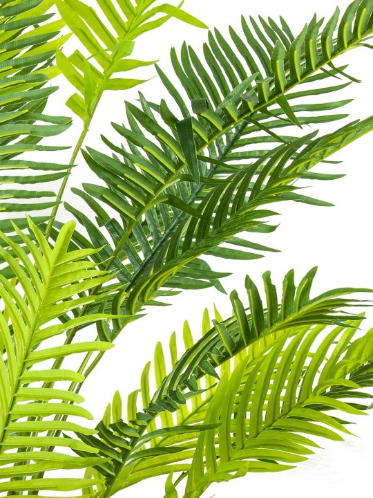 A-116 ARECA PALMİYE GREEN 180 CM