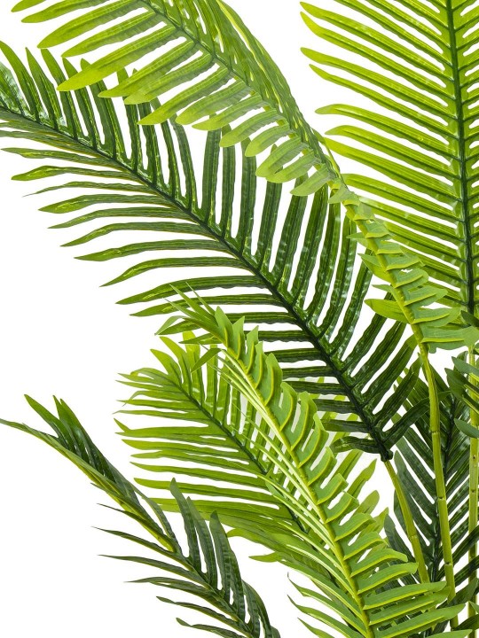 A-112 ARECA PALMİYE 180 CM