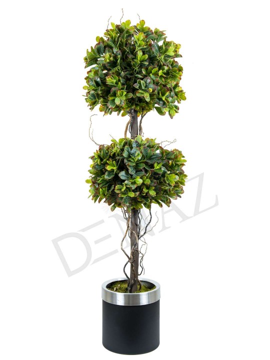 A-142 PITTOSPORUM 2 Lİ TOP RED GREEN 170 CM