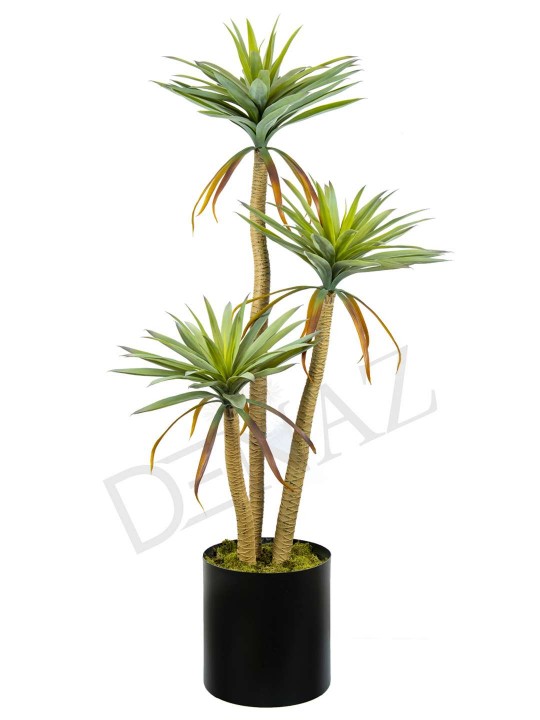 A-124 AGAVE 140 CM