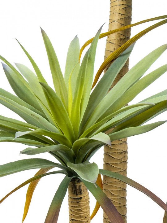 A-124 AGAVE 140 CM