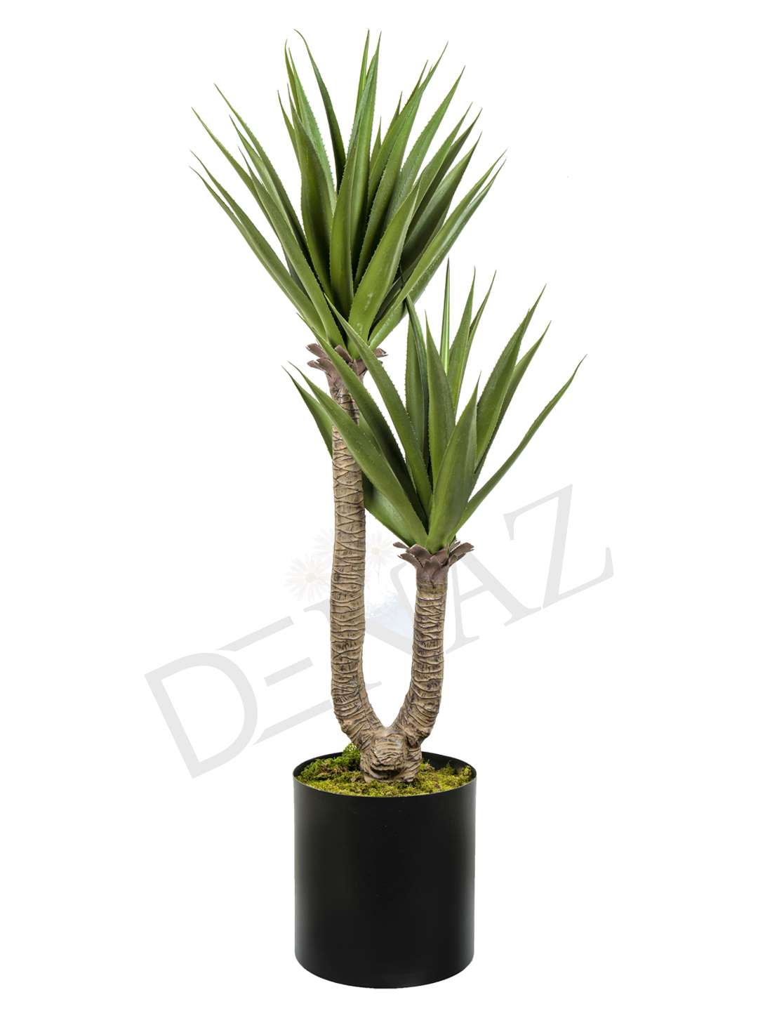 A-125 YUCCA PLANT 170 CM