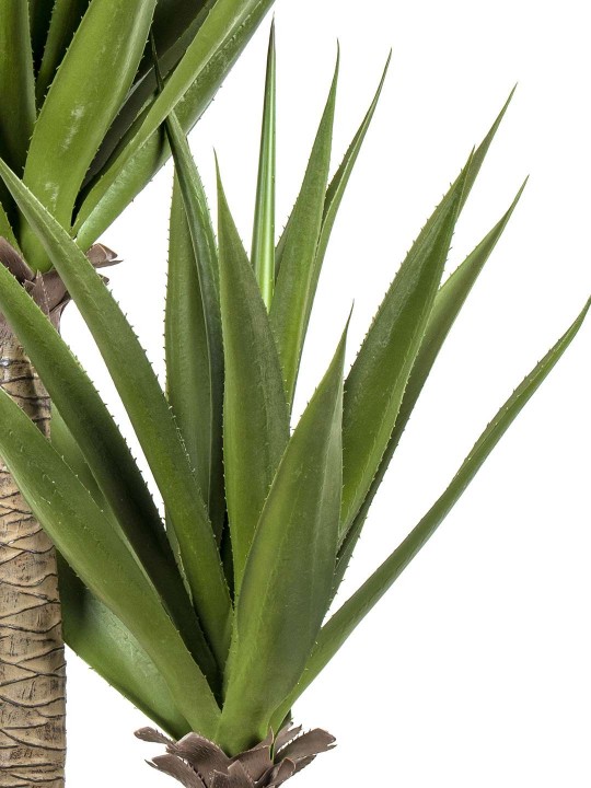 A-125 YUCCA PLANT 170 CM