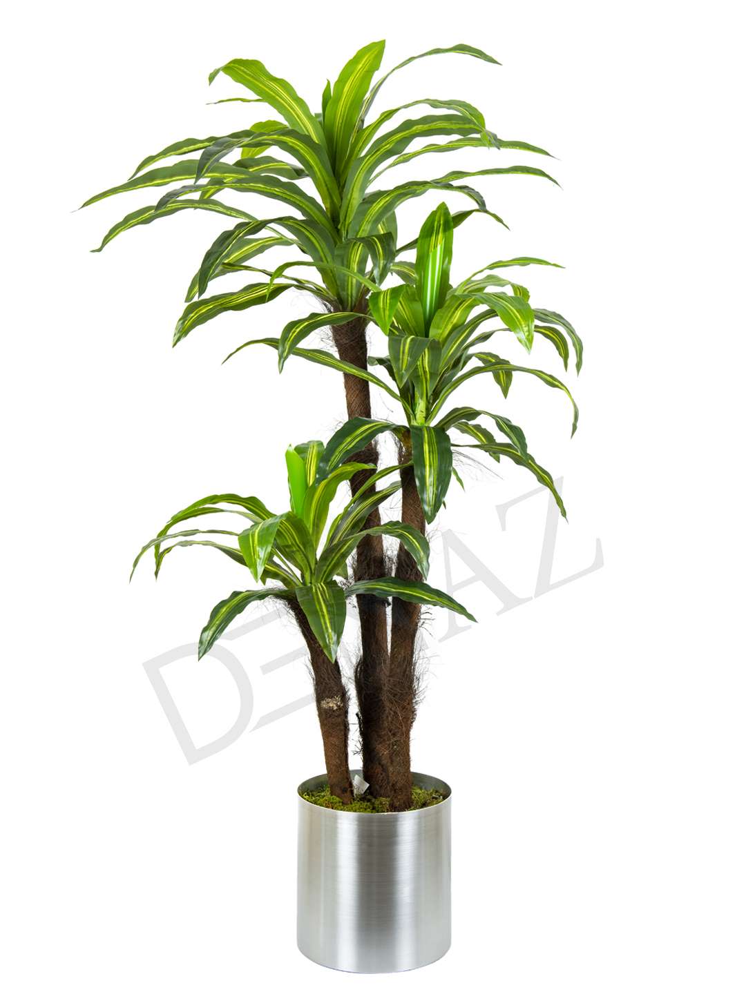 A-127 DRACHENA PLANT 180 CM 