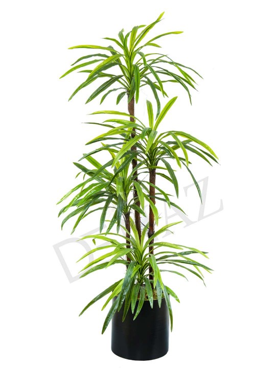 A-126 MASSENGENA GREEN 170 CM