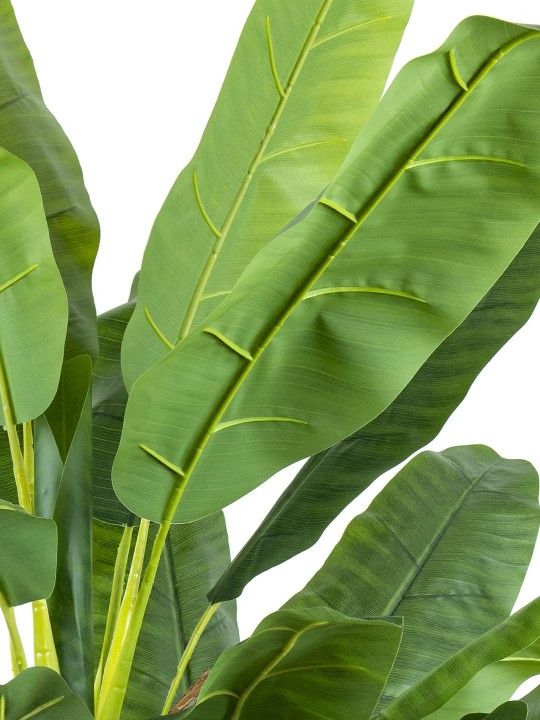 A-129 BANANA PALM 220 CM 