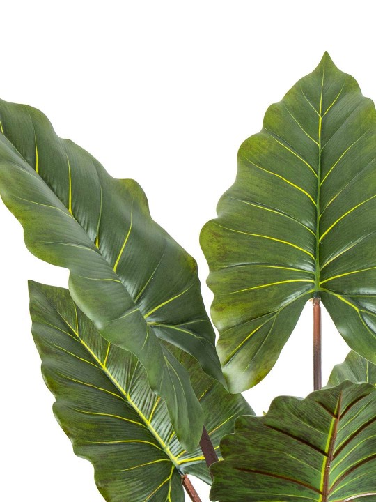 A-140 PHILODENDRON 140 CM 