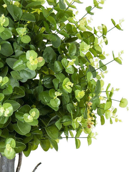 A-141 OKALIPTUS TERS TOP GREEN 160 CM 