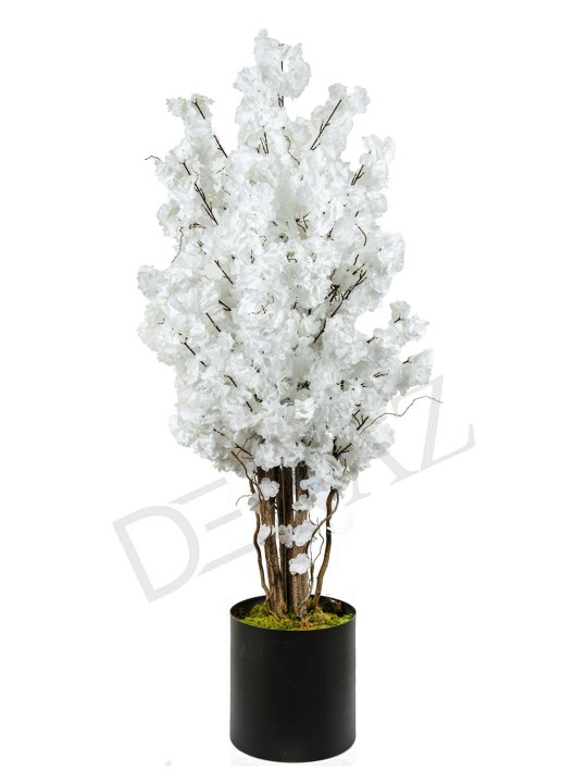 A-130 BAHARDALI WHITE 170 CM 