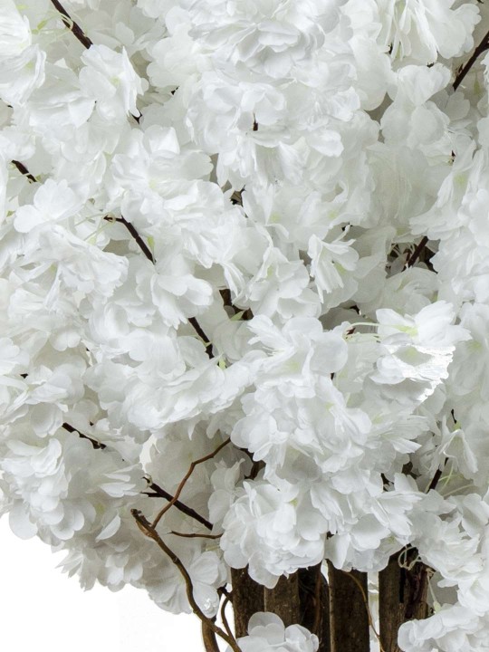 A-130 BAHARDALI WHITE 170 CM 