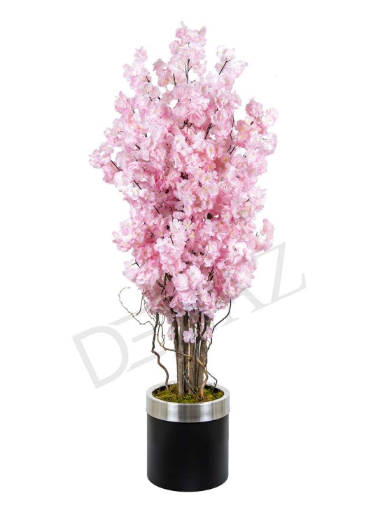 A-131 BAHARDALI PINK 170 CM 