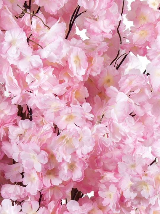 A-131 BAHARDALI PINK 170 CM 