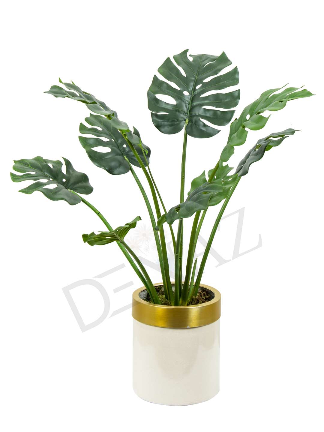 A-134 MONSTERA TREE 140 CM 