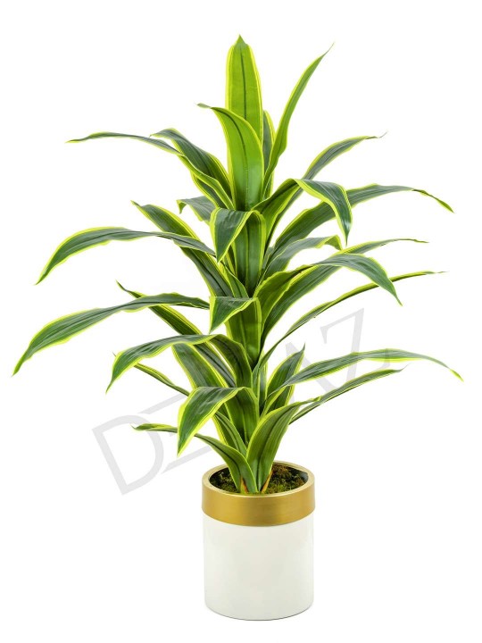 A-137 YUCCA GREEN YELLOW 150 CM 