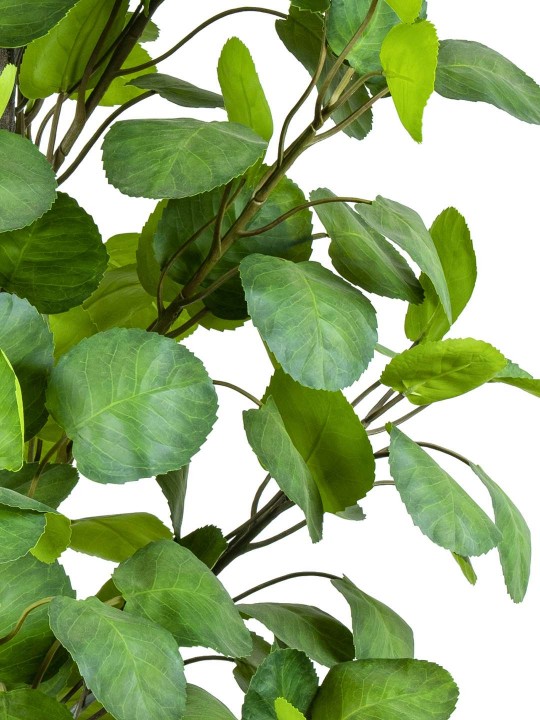 A-138 APPLE GREEN 170 CM