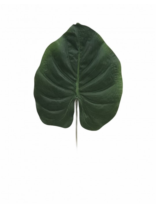 DTD-151039 TEK DAL PALMİYE YAPRAK