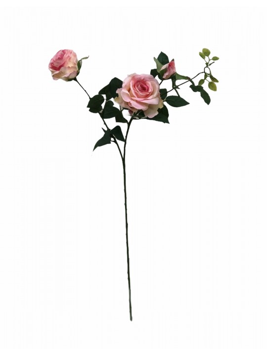 DTD-15750 2'Lİ GÜL PINK