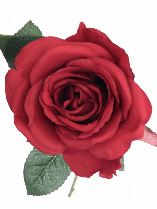 DTD-15750 2'Lİ GÜL RED