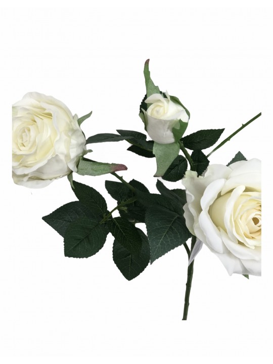 DTD-15750 2'Lİ GÜL WHITE