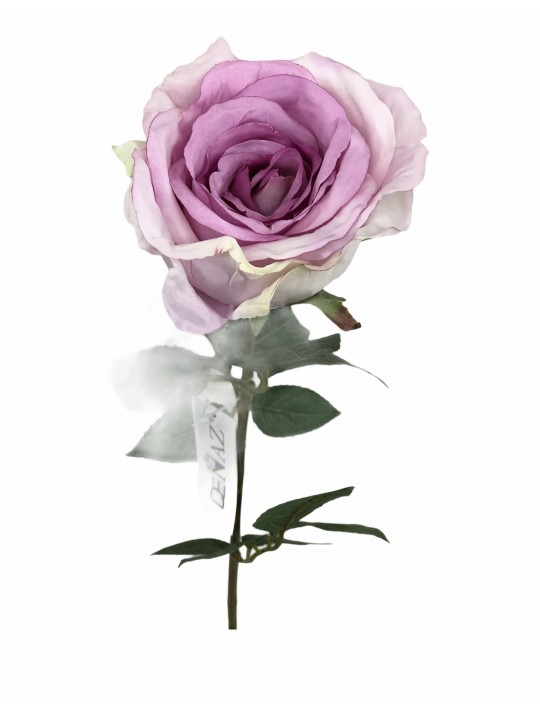 DTD-15751 TEK DAL GÜL MAUVE