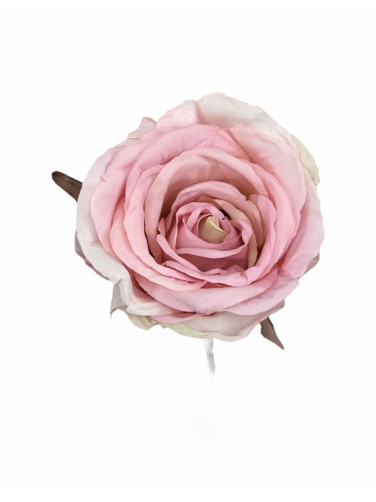 DTD-15751 TEK DAL GÜL PINK