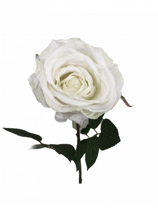 DTD-15751 TEK DAL GÜL WHITE