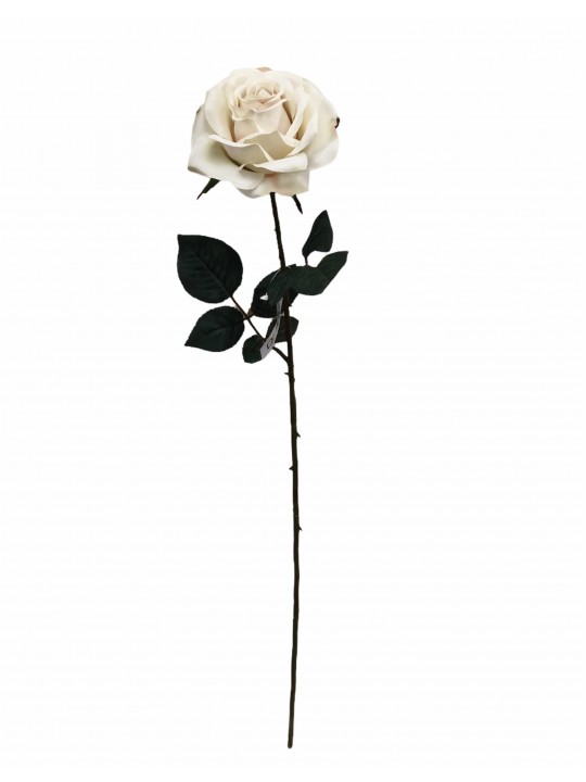 DTD-15753 TEK DAL GÜL CREAM