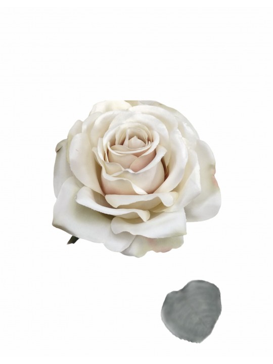 DTD-15753 TEK DAL GÜL CREAM