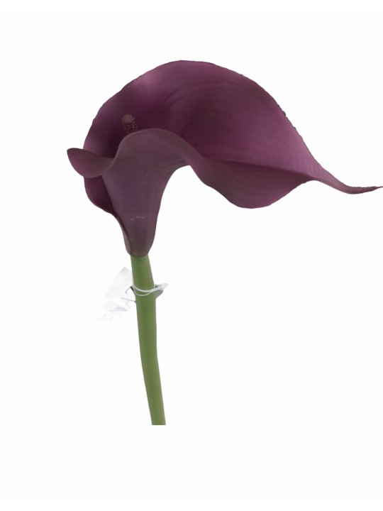 DTD-16151 TEK DAL GALA PURPLE