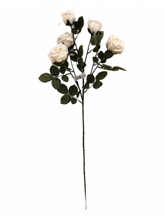 DTD-33857 5'Lİ GÜL CREAM