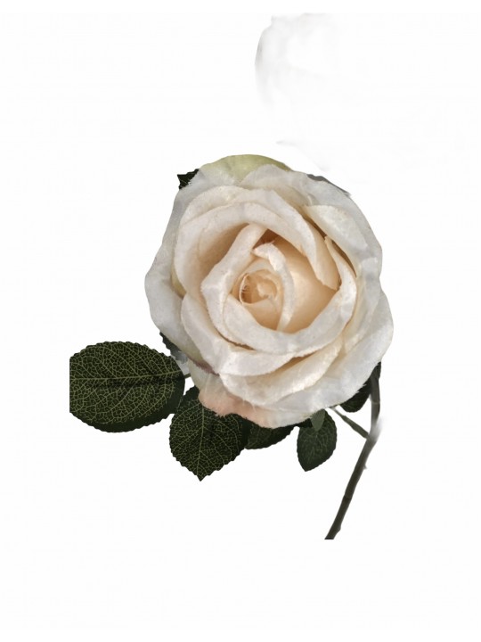 DTD-33857 5'Lİ GÜL CREAM