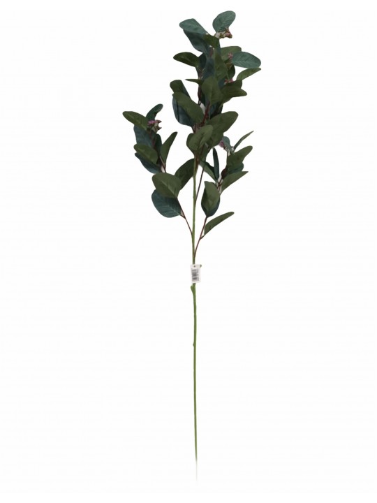 DTD-6599 TEK DAL PASTEL GREEN